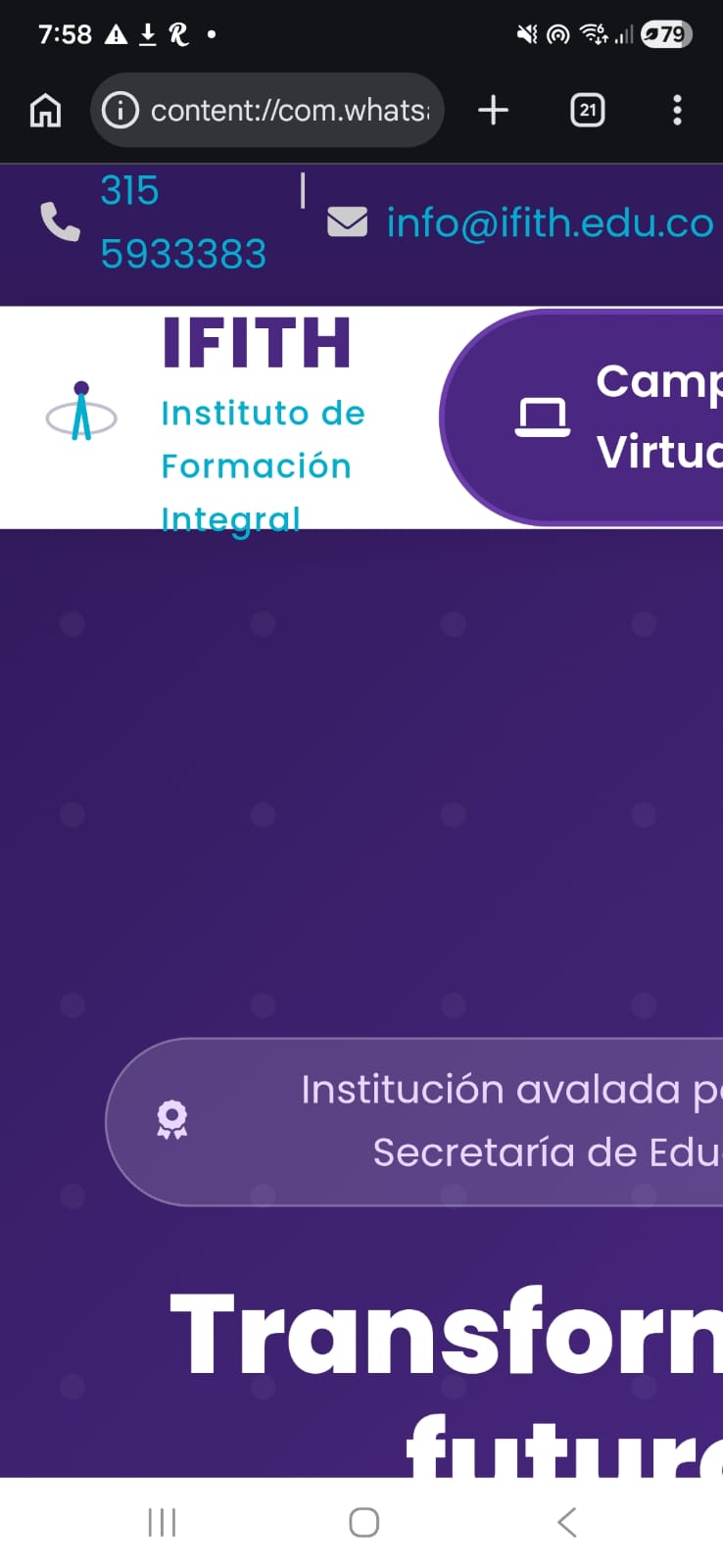 Página web anterior de IFITH